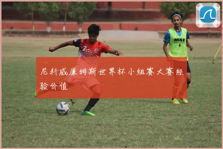 尼科威廉姆斯世界杯小组赛大赛经验价值