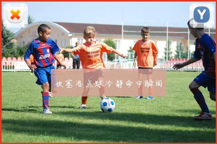 坎塞洛点球冷静命中瞬间