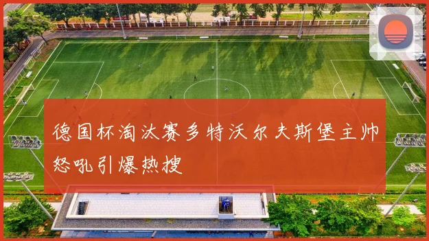 德国杯淘汰赛多特沃尔夫斯堡主帅怒吼引爆热搜
