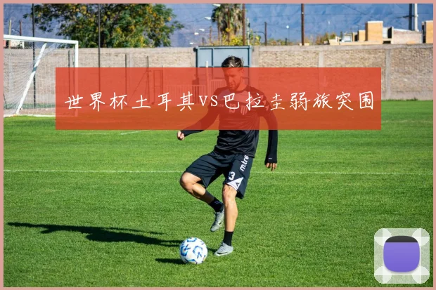 世界杯土耳其vs巴拉圭弱旅突围