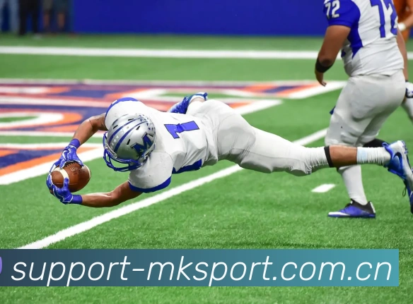 MK体育（中国）官网-MKSports-让娱乐更有陪伴感APP 封面图