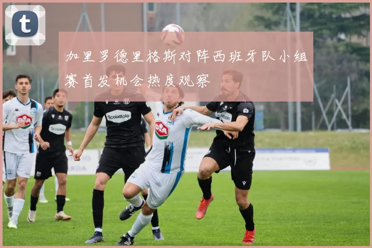 加里罗德里格斯对阵西班牙队小组赛首发机会热度观察