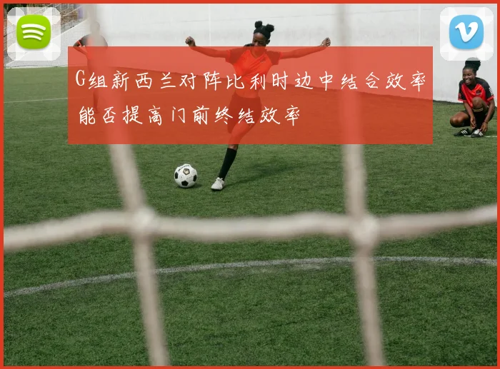G组新西兰对阵比利时边中结合效率能否提高门前终结效率