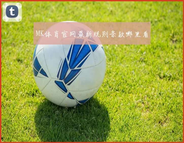 MK体育官网最新规则条款哪里看