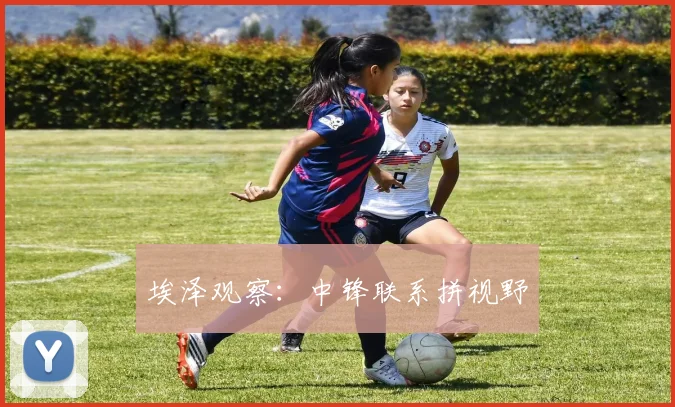 埃泽观察：中锋联系拼视野