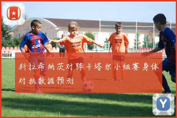 科拉希纳茨对阵卡塔尔小组赛身体对抗数据预测
